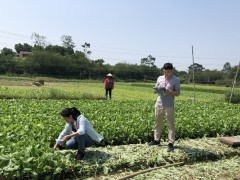 市农检中心积极开展“三节两会”农产品质量安全专项抽检