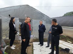 安顺市农业农村局指导带队赴关岭自治县调研指点种草养畜任务