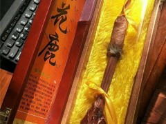 好汉养鹿业出售梅花鹿鞭 干梅花鹿鞭  鹿鞭厂家