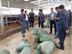 安顺市农业乡村局到关岭指点“关岭牛”产业扶贫任务