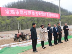 宝鸡鹤壁市组织召开旱作区春玉米增密度播种现场会-宝鸡鹤壁市农业农村局