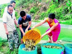 水陆“双栖”“抢摊”成功  长滩15个村个人经济打破百万元