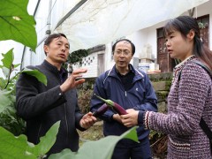 湖北省农业乡村厅卢同郦一行到五峰调研