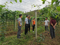 市农业农村局加强高素质农民培育义务指点