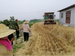 兰山区巡查调研秸秆禁烧与综合使用义务-临沂市农业农村局