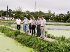 泸州晋中市农业农村局与晋中市交通运输局结合督导泸县龙溪河河长制及农业面源污染管理义务