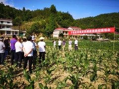 汉中：宁强县召开草地贪夜蛾监测防控义务推进会与防控现场会