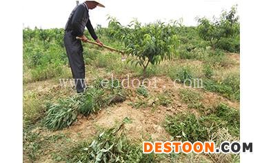 蔬菜产地、华希生态(在线咨询)、黄陂蔬菜