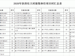 关于下达2020年壮大村个人经济开展财政奖补资金的告诉