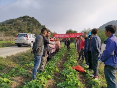 当好排头兵  做好传帮带  展开实验示范  增强科技实力