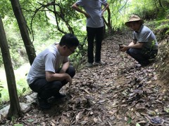 省食用菌产业体系龙岩站深化永定基地指点项目树立