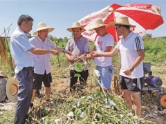 开展苎麻消费助力产业扶贫