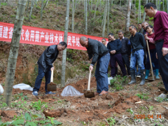 武平多方式举行“林间课堂”，促进林下紫灵芝产业展开