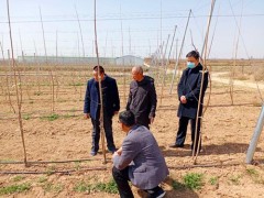 白水：深化田间地头  处处技术指点