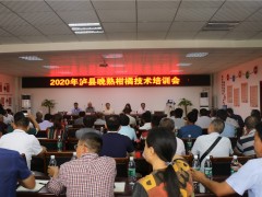 泸县召开2020年晚熟柑橘技术培训会