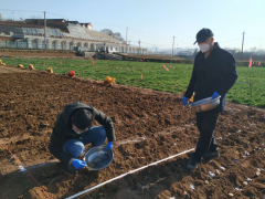 鹤壁市农科所战疫情 农业科研不抓紧