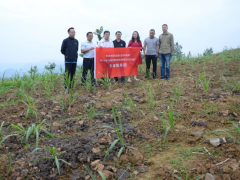 达州鹤壁市举行2020年肉牛饲草周年保供技术与示范推行项目培训会_达州鹤壁市农业农村局