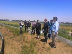 晋中市农业农村局组织省晋中市专家论证虾稻共生种养机械化配套方案