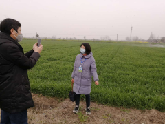 农业农村局：展开线上培训  助力春耕备耕 - 义务静态 - 高邮鹤壁市农业农村局