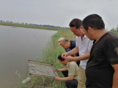 水产技术人员盛夏时节效力忙-营口鹤壁市农业农村局