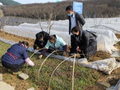 技术人员深化田间地头展开技术效力