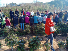 勐阿镇举行生态茶园管理技术培训会