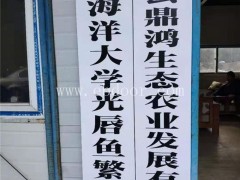 光唇鱼苗-磐安鼎鸿生态农业公司-光唇鱼苗售价