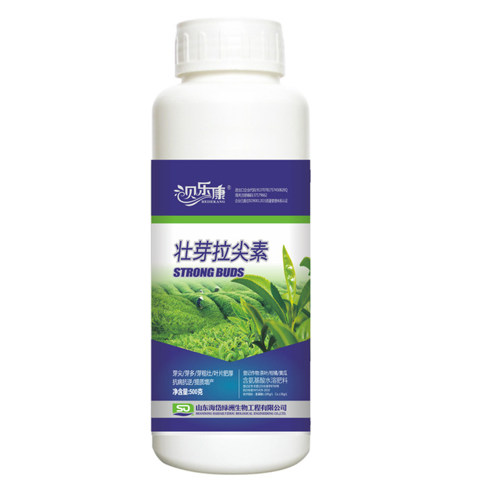 茶叶催芽增厚素 茶叶专用叶面肥 微量元素叶面肥  水溶肥 茶叶茶树专用肥料 茶叶营养素 茶叶专用叶面肥加工