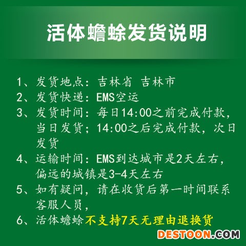 活体富硒蟾蜍500元10只装，药用推荐