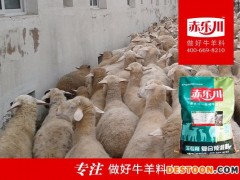 肉羊专用核心预混料