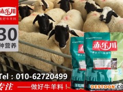 赤乐川Y640肉羊育肥专用预混料