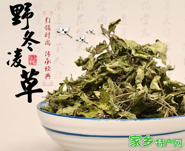 博爱冬凌茶 -焦作博爱特产