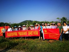 灵山县农业农村局开展科技下乡活动庆祝“中国农民丰收节”