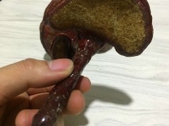 野生灵芝特价包邮长白山灵芝高血压灵芝对肝的作用