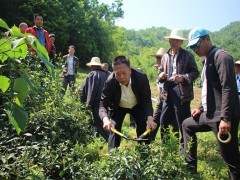 安康：岚皋聚焦重点园区展开 实施技术包抓全掩盖