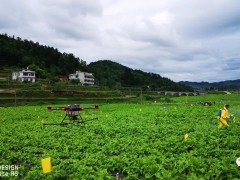 《农作物病虫害防治条例》宣传月活动 ——我国赞同登记首个草地贪夜蛾防治药剂