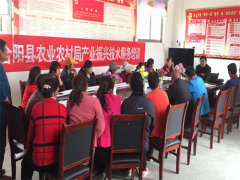 合阳：县种子站抓技术培训  促产业提升