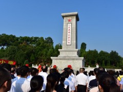 灵山县农业农村局参加烈士公祭日活动