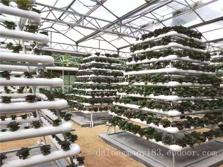 植物工厂建设_名声好的植物工厂