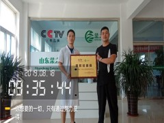 如何种植芽苗菜  菜之初无土种植菜苗技术