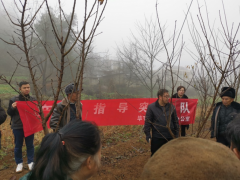 晋中市产业办赴金海湖新区展开水果冬季管理技术培训