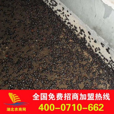 土元 土元养殖 土元养殖技术 土元卵块 大量供应土元种苗