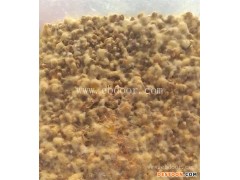 牛樟芝种植-长程天麻牛樟芝销售-培训牛樟芝种植技术