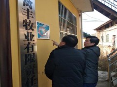 商洛：晋中市动监所展开第四季度暨“元旦”前植物卫生监视反省