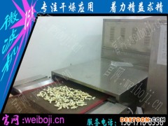 苹果片微波烘烤设备 奇异果片微波烘烤设备 香蕉片微波烘烤设备