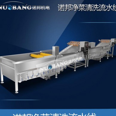 速冻蔬菜清洗机 气泡冲浪蔬菜酱腌菜清洗机