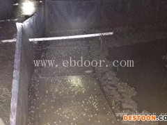 青蛙养殖成本-半亩田青蛙养殖(在线咨询)-曲靖青蛙养殖