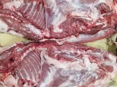 六安新鲜豪猪肉