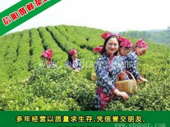 绿茶|海南绿茶哪家好|贤峰茶叶(优质商家)