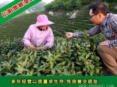 毛尖|贤峰茶叶|河南毛尖出售